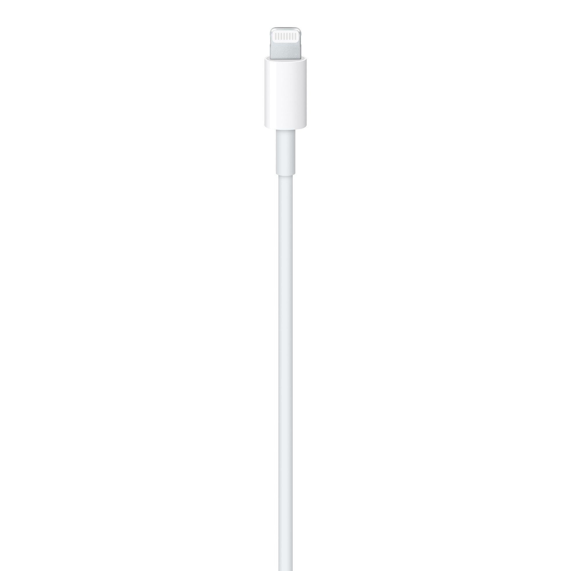 20W Lightning Şarj Kablosu (1 m)